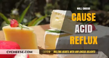 Does Cheese Trigger Acid Reflux? Uncovering the Truth Behind the Myth
