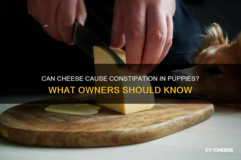 will cheese constipate a puppy