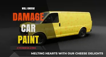 Can Cheese Harm Your Car's Paint? Surprising Facts Revealed