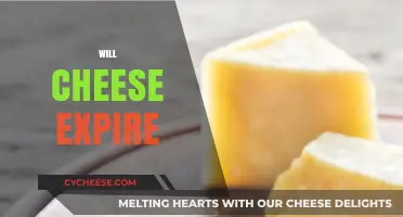 Does Cheese Go Bad? Understanding Expiration Dates and Freshness