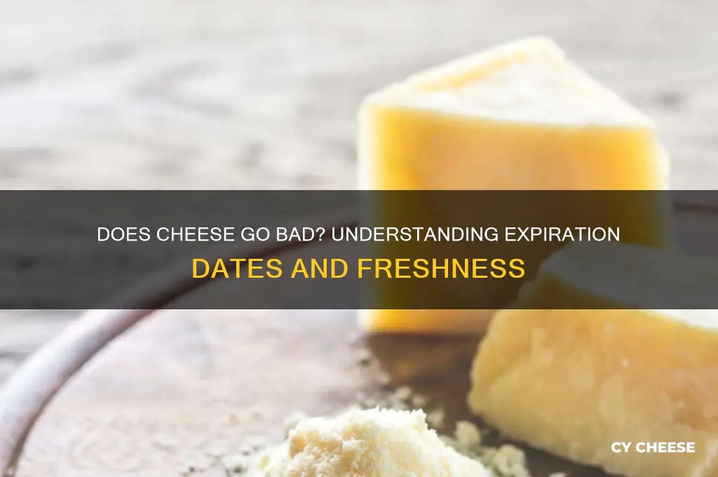will cheese expire