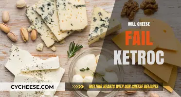 Can Cheese Sustain Ketosis? Debunking Myths About Dairy and Keto