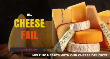 Will Cheese Fail? Exploring the Future of Dairy in a Changing World