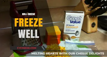 Can Cheese Be Frozen? Tips for Preserving Your Favorite Dairy Delight