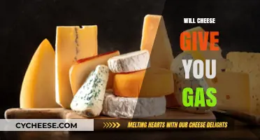 Does Cheese Cause Gas? Uncovering the Truth Behind Dairy Digestion
