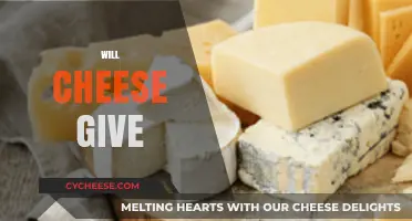 Will Cheese Give You Health Benefits or Harm? Let's Find Out