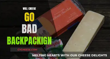 Cheese Storage: Backpacking and Beyond