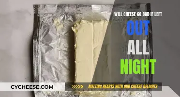 Cheese Left Out Overnight: Safe or Not?