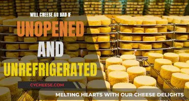Cheese Storage: Unopened and Unrefrigerated, Will it Spoil?