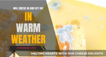 Cheese Safety: Warm Weather Storage
