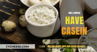 Does Cheese Contain Casein? Uncovering the Truth About Dairy Proteins