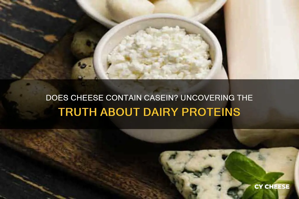 will cheese have casein