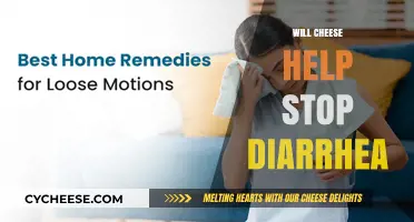 Can Cheese Cure Diarrhea? Exploring Dairy's Role in Digestive Health