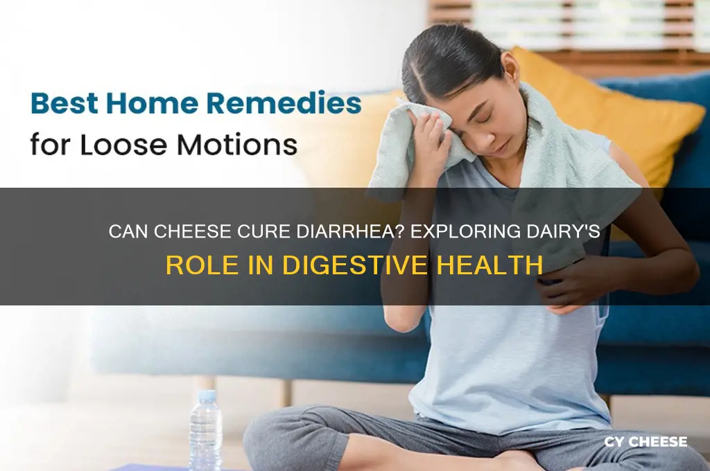 will cheese help stop diarrhea