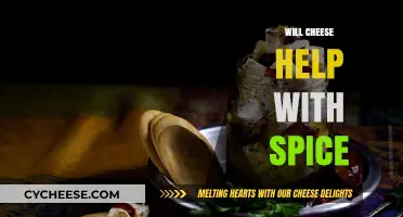 Can Cheese Tame the Heat? Discover Its Spice-Soothing Powers