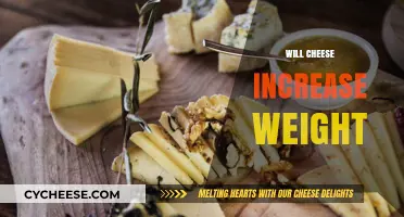 Does Cheese Cause Weight Gain? Unraveling the Dairy Dilemma