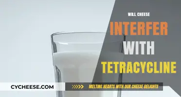 Cheese and Tetracycline: Potential Interactions and What You Need to Know