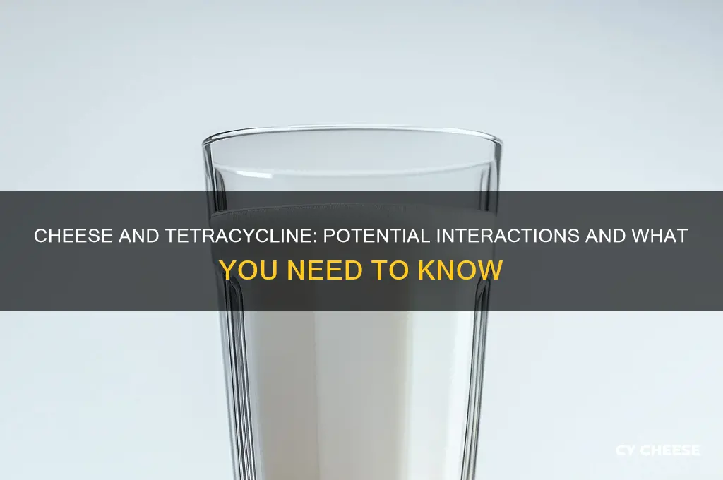 will cheese interfer with tetracycline