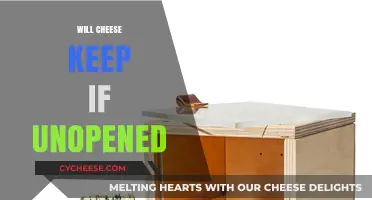 Unopened Cheese Storage: How Long Does It Stay Fresh?