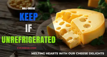Can Cheese Survive Unrefrigerated? Storage Tips and Shelf Life Explained