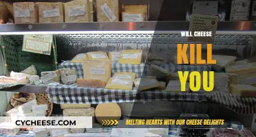 Is Cheese Deadly? Unraveling the Truth Behind This Dairy Dilemma