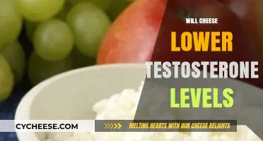 Does Cheese Impact Testosterone? Unraveling the Hormonal Effects of Dairy