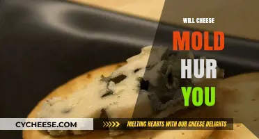 Can Moldy Cheese Harm You? Risks and Safety Tips Explained