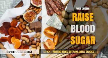Does Cheese Affect Blood Sugar Levels? A Comprehensive Guide