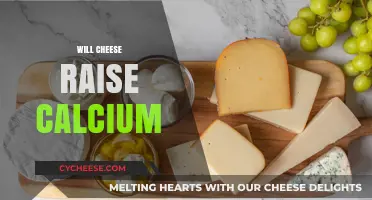 Does Cheese Boost Calcium Levels? Uncovering the Dairy Connection