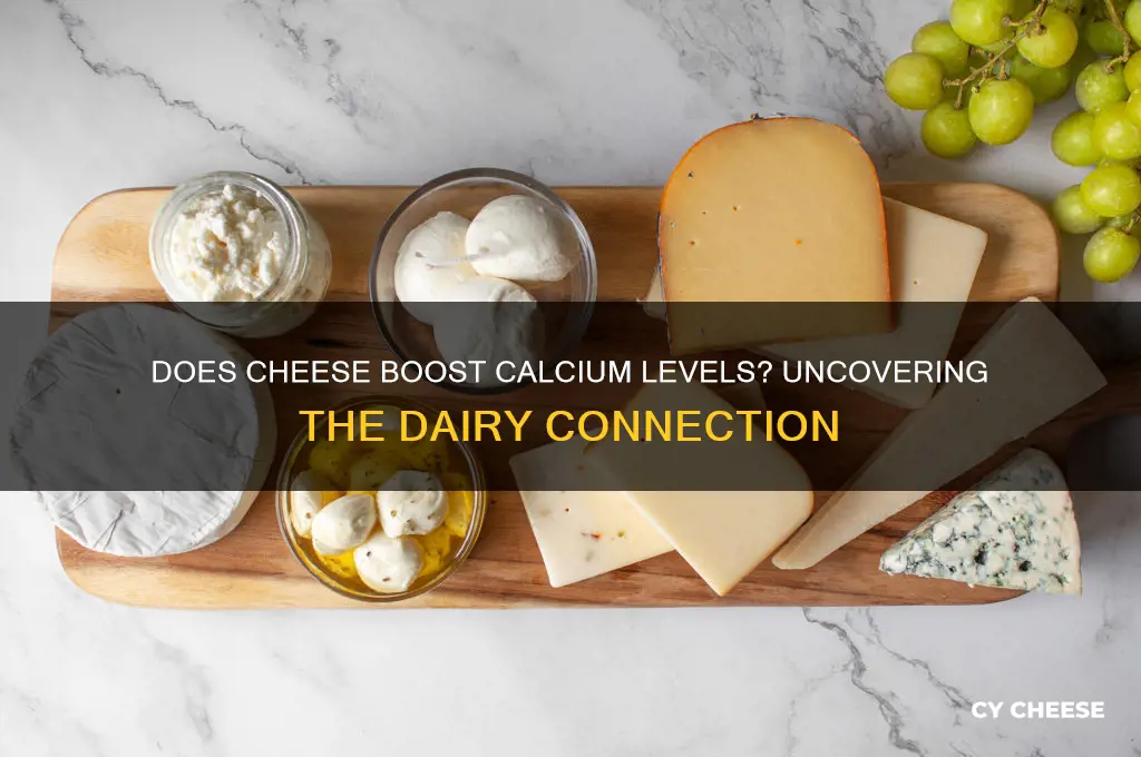 will cheese raise calcium