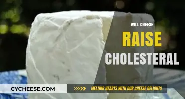 Does Cheese Increase Cholesterol? Uncovering the Truth About Dairy and Health