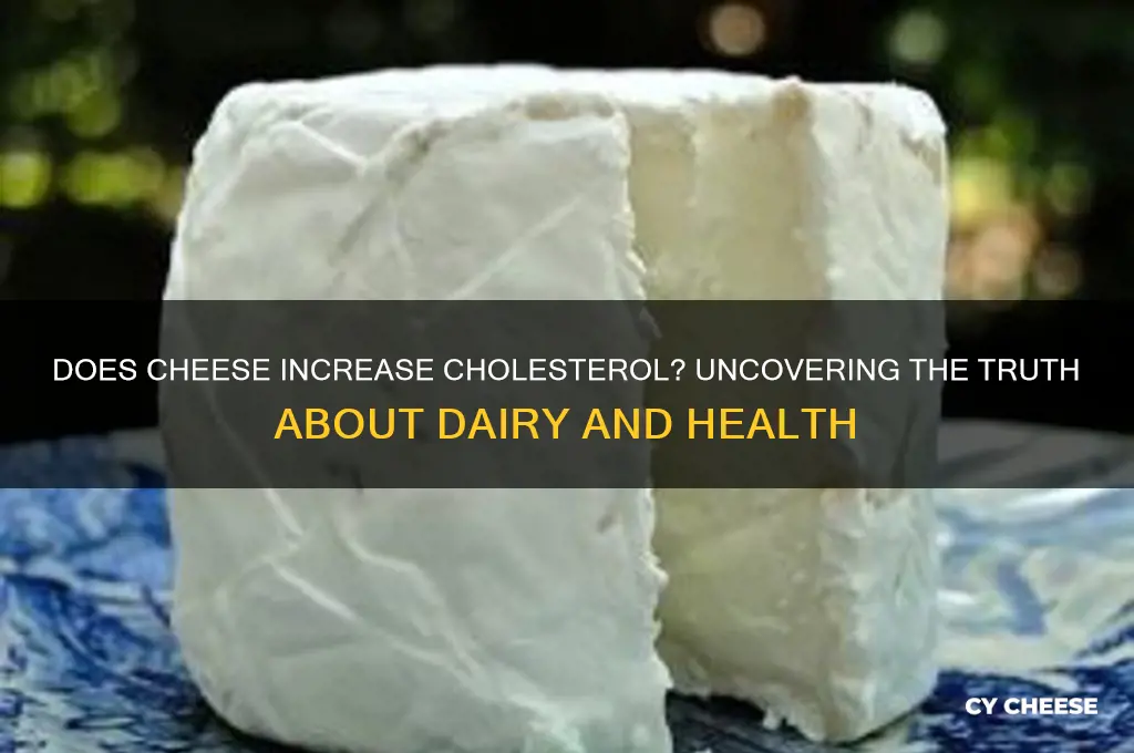 will cheese raise cholesteral