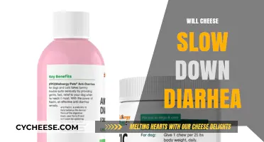Can Cheese Help Slow Down Diarrhea? Exploring the Surprising Truth