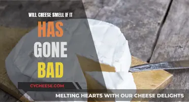 Cheese and Odor: How to Tell If It's Bad