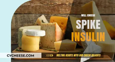 Does Cheese Spike Insulin? Understanding Its Impact on Blood Sugar Levels