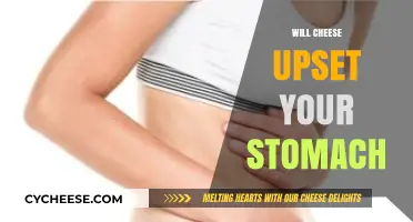 Does Cheese Cause Stomach Issues? Understanding Digestive Reactions to Dairy