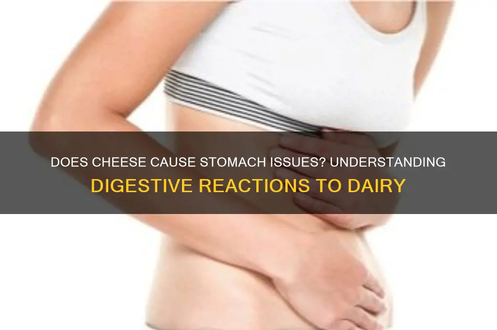 will cheese upset your stomach