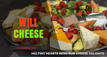Will Cheese Revolutionize Your Diet? Health Benefits and Myths Explained