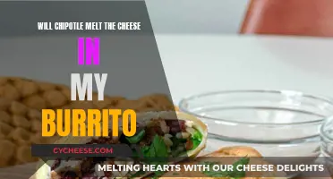 Chipotle's Melted Cheese: Yes or No?