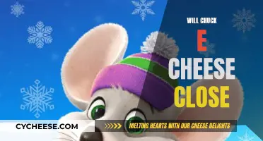 Chuck E. Cheese: Will the Fun End?