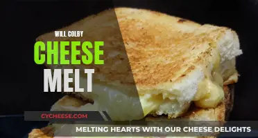 Cheese Melting: Will Colby Cheese Melt?