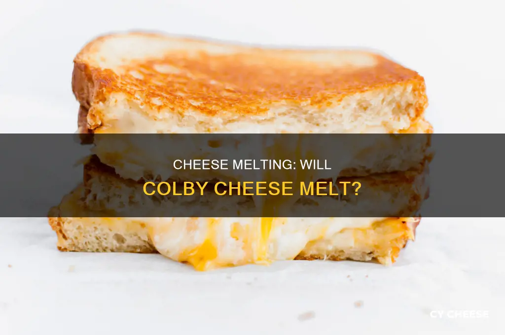 will colby cheese melt