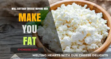 Cottage Cheese Before Bed: Does It Lead to Weight Gain?