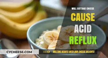 Cottage Cheese and Acid Reflux: What’s the Connection?