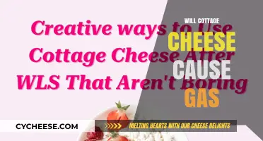 Does Cottage Cheese Cause Gas? Unraveling the Truth Behind Bloating