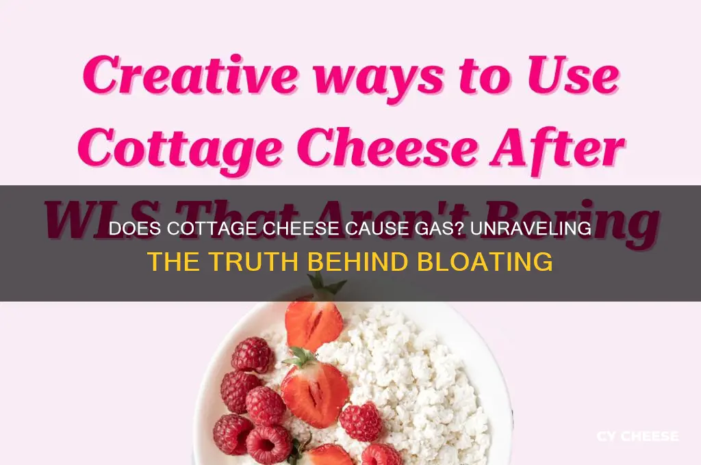 will cottage cheese cause gas