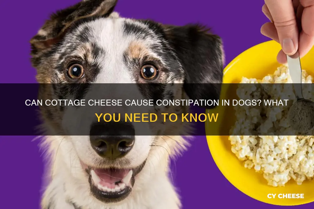 will cottage cheese constipate a dog