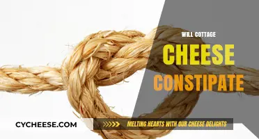 Cottage Cheese and Constipation: Debunking Myths for Digestive Health