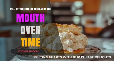 Does Cottage Cheese Melt in Your Mouth? A Texture Exploration