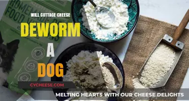 Can Cottage Cheese Deworm Dogs? Facts and Myths Explained